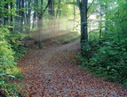 Wanderwege